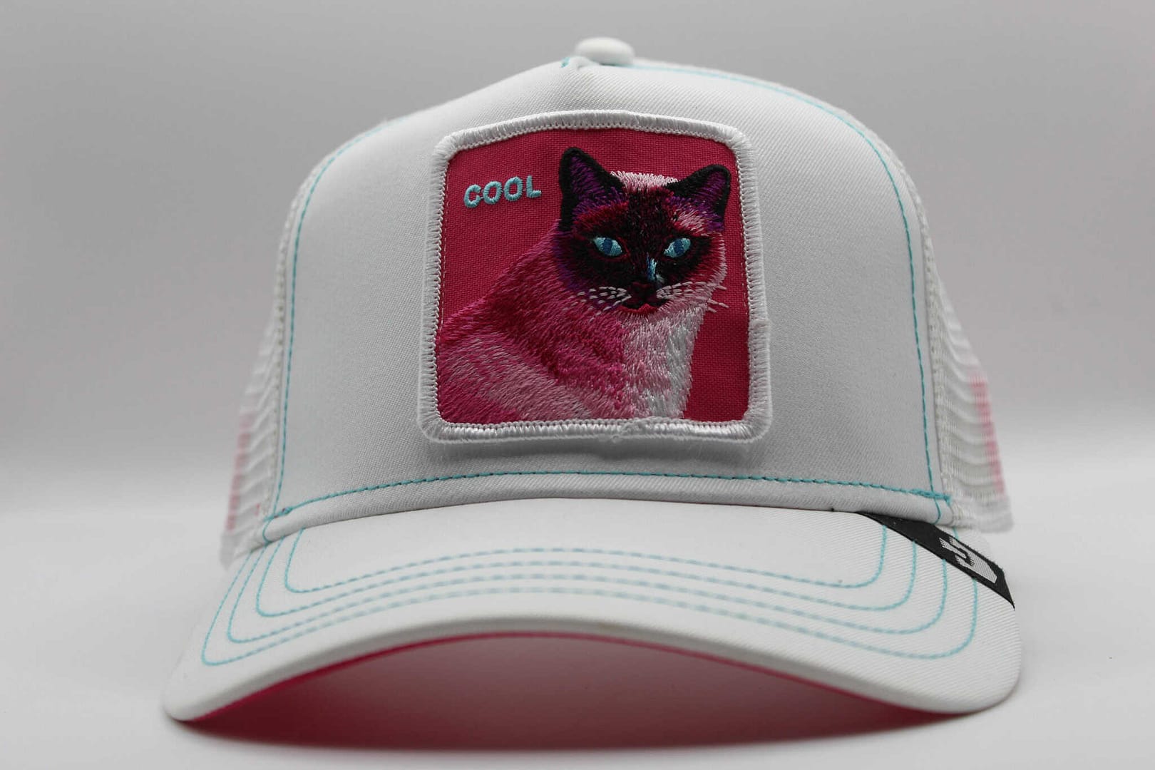 new era de gato