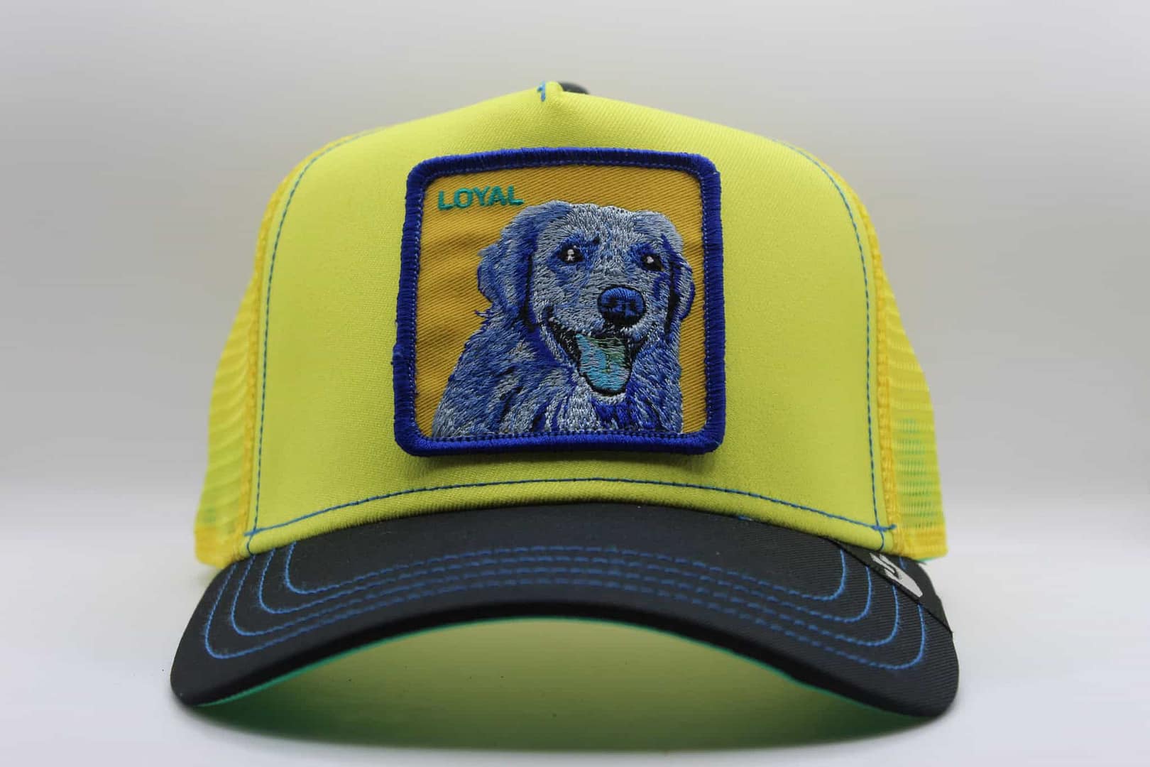 goorin bros doggy trip