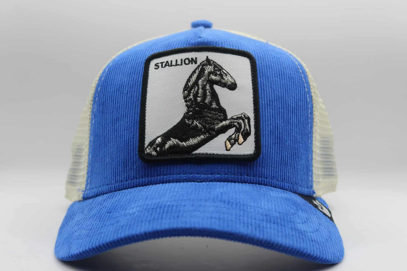 goorin bros caballo azul