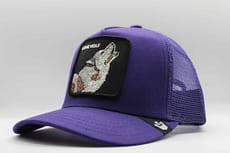 goorin bros lone wolf purple