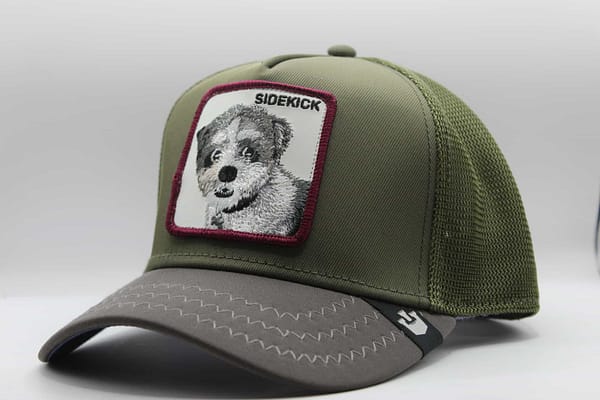goorin bros de perrito