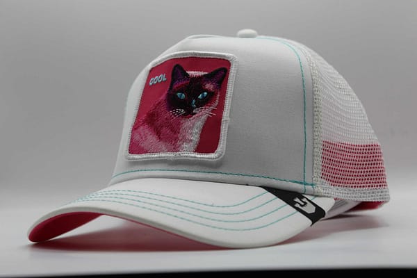 new era kitty trip