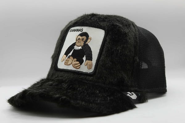goorin bros little nanner