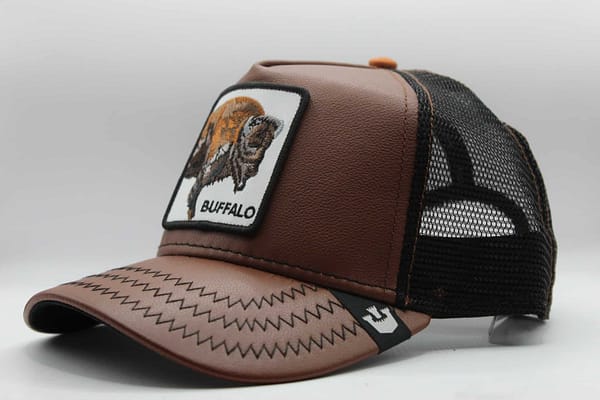 GOORIN BROS THE WAGON BROWN