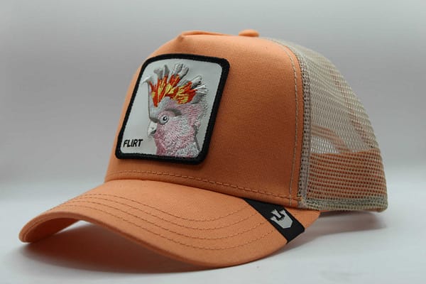 goorin bros flirty bird coral