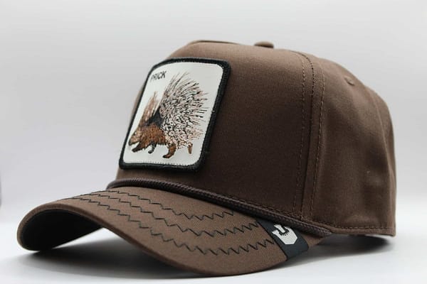 goorin bros porcupine 100