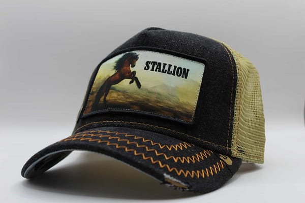 goorin bros the stallion trucker