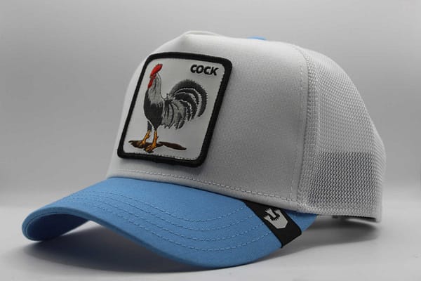 goorin bros khaki cock