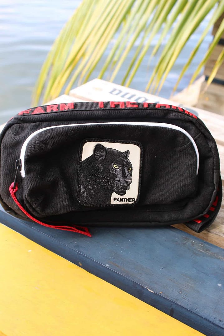 Mariconera Goorin Bros Panter - Imagen 4